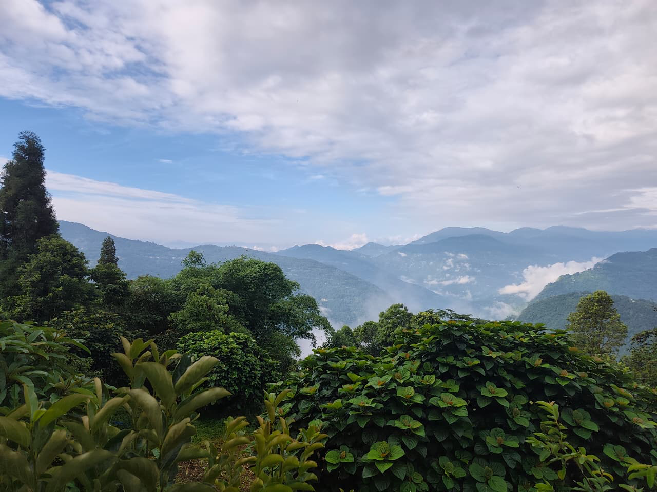 Green forest and mountain valley seen from Ralong village